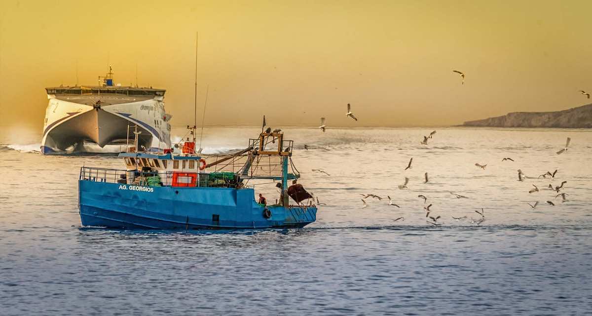 Read more about the article IUU Fishing: Taking a Bite out of the Global Fishing Market: