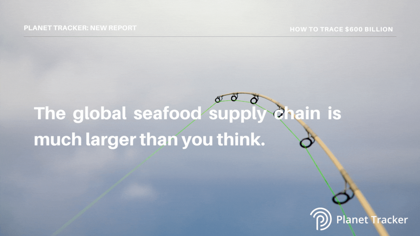 Read more about the article Better traceability could boost global seafood profits by 60%, finds Planet Tracker
