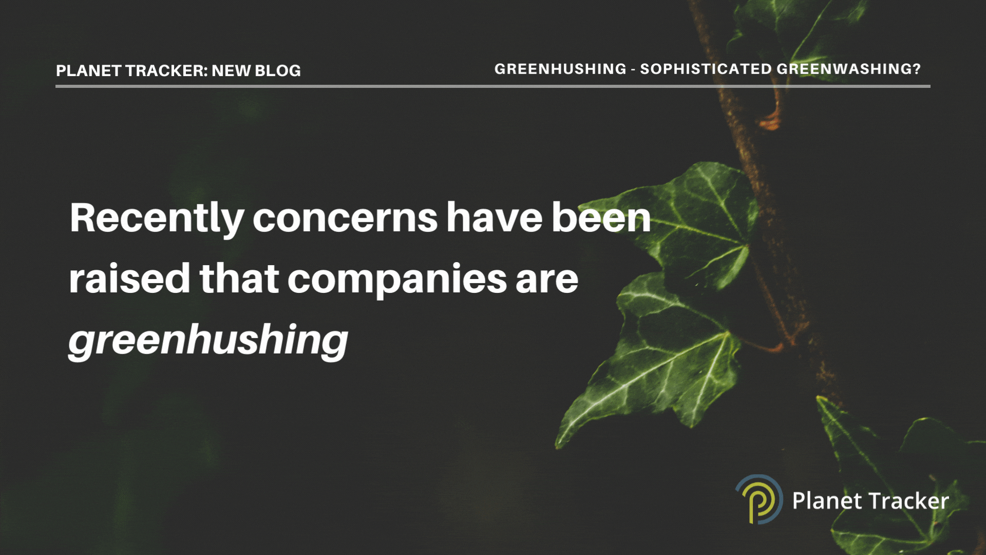 Read more about the article Greenhushing – sophisticated greenwashing?
