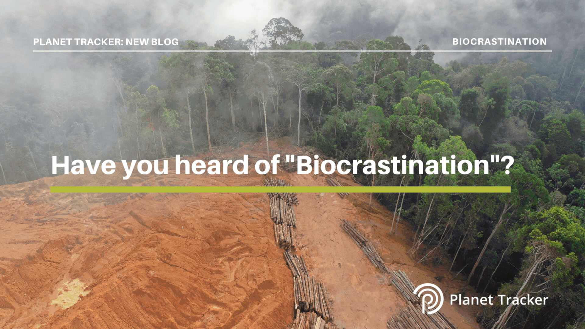 Read more about the article Defining biodiversity loss as a future risk is just ‘biocrastination’, says Planet Tracker