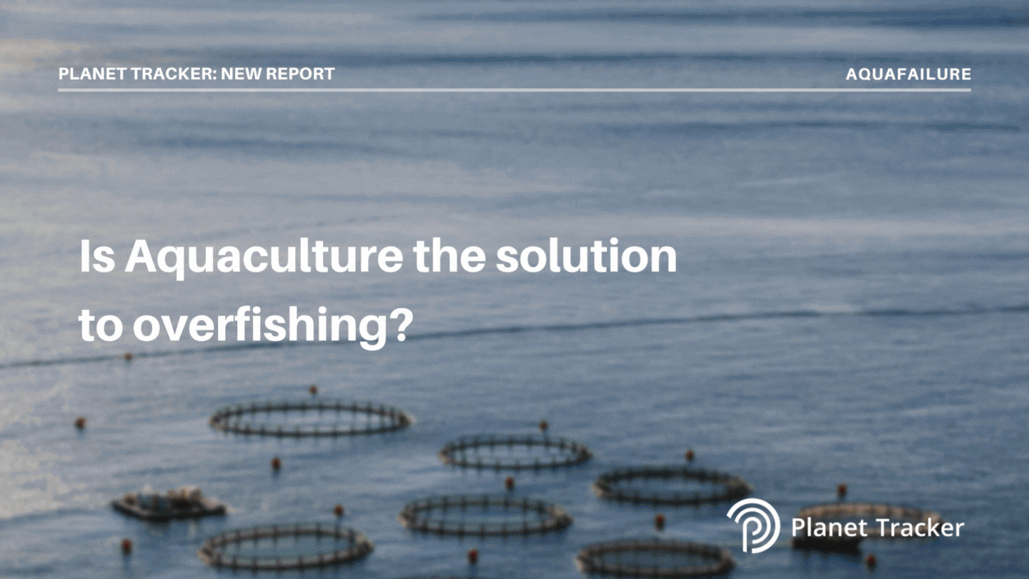 Read more about the article Aquaculture industry unable to meet demand by 2050 unless it becomes regenerative