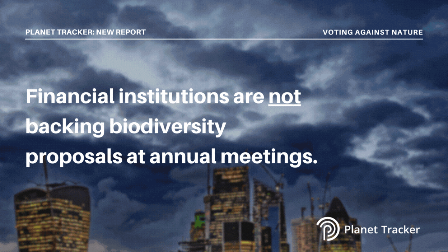 Read more about the article Investors not waking up to nature loss risk, with majority voting against biodiversity proposals